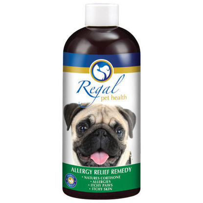 Picture of Regal Allergy Relief Remedy 400ml